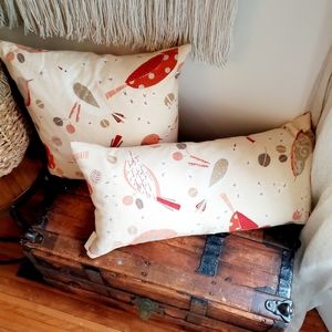 2 Pure Down Duck Feather Decorative Pillows